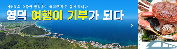 배너