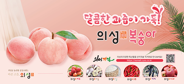 배너