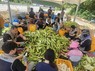 울산시설공단, 옥수수 수확철 맞아 농촌일손돕기 실시