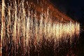 여름밤 하늘을 수놓다…밀양시, 어화 꽃불놀이 콘텐츠 제작 시연