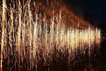 여름밤 하늘을 수놓다…밀양시, 어화 꽃불놀이 콘텐츠 제작 시연