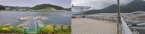 낙동강 물금매리 지점 조류경보 ‘경계’ 단계 발령