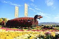 창원 대표 가을축제 '마산가고파국화축제' 내달 1~9일 개최