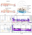 인제대 유성광 교수팀, 실시간 욕창 위험 감시 기술 개발