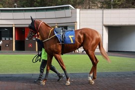 삼관마를 향한 질주 시작…‘KRA컵 마일’ 개최