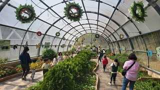 울산대공원 생태여행관 나비정원, 21일부터 운영