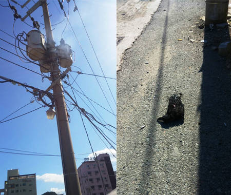 14일 오전 9시 42분께 부산 해운대구 송정동의 한 전신주 변압기에서 스파크가 튀며 불이 났으며, 한전 측은 까마귀가 변압기에 앉아 감전돼 불이 일어난 것으로 추정하고 있다. (사진제공=부산경찰청)