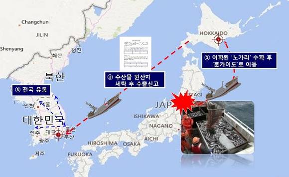2011년 3월 11일 일본 후쿠시마 원전 사고 이후 수산물 수입금지 지역이 된 후쿠시마에서 어획된 노가리 수백t을 원산지 세탁을 통해 국내에 반입해 팔아온 수입업자들이 경찰에 붙잡혔다. (사진제공=부산경찰청)