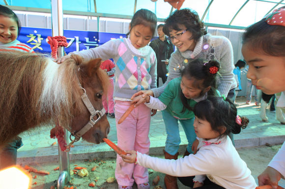 찾아가는 승마교실에서 학생들이 조랑말에 먹이를 주고 있다. (사진=렛츠런파크 부경)