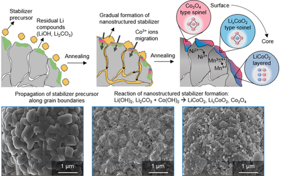 코발트 산화물계 코팅 모식도. (사진=부경대)