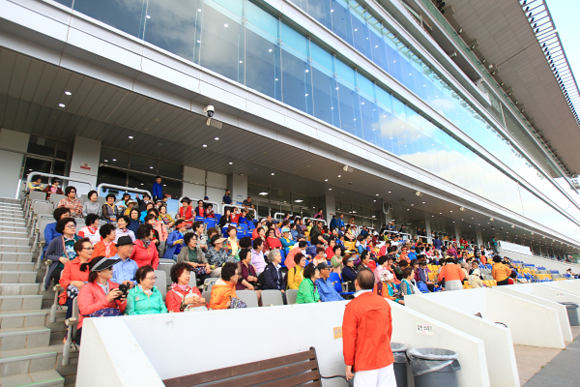 렛츠런파크를 방문한 실버청춘들이 경주마를 관람하고 있다. (사진=렛츠런파크 부경)