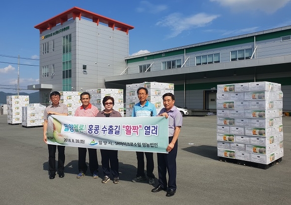 28일 밀양시 관내 멜론농가 및 시 관계자들이 홍콩 수출식을 진행했다. (사진=밀양시)