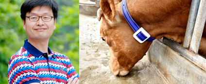 장홍희 교수와 행동기반 한우 발정감지기 'W-tag' (사진제공=경상대)